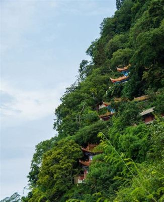  西山森林公園，雲霧繚繞的綠色仙境！